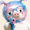 拧团团猪耳朵的噜噜²²²²🐷ᴼᵛᴼ