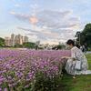 烟花易冷🌸