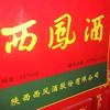 （三秦人）陕西西凤酒