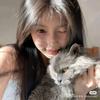 小猫爱吃鱼🐾