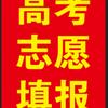 贵州志愿填报-胡老师