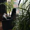 干饭人罗罗  （承接清镇贵阳推广抽佣模式