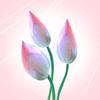 百合家庭教育