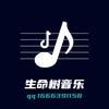 小陈爱伴奏AA