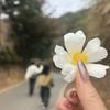 小瑾