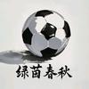 绿茵春秋