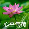 佳木斯王哥