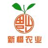 新橙果树苗木专营店