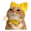 小猫江瓜瓜🐱