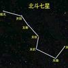 草原潇洒驰骋的骏马