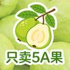 芭乐果园精品礼盒只发5A果