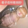 闹麻了