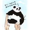 东越的猫