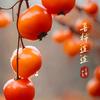 可欣