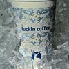 轻轻茉莉