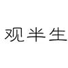 观半生团队