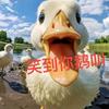 笑到你鹅叫