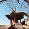 考拉学历史