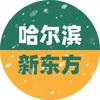 哈尔滨新东方
