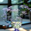 淡若清风