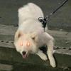 几何老师