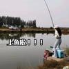 丹姐爱钓鱼🎣