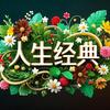 人生经典