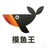 摸鱼王RPA-定制请联系