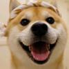 秋何