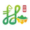 山水田林