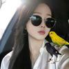 小颜你好（教鸟学语）🐦‍⬛🦜
