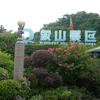 时 光 倒 流