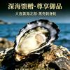 大连蚝痴•冰黛
