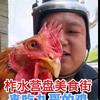 柞水营盘九哥🐔