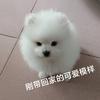 ～果果～