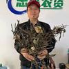 忠哥土地流转拖管种植合作社