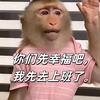 行行转FPGA