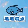 毛毛观点