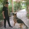 衡水训犬学校攀哥