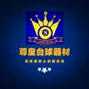 七台河尊皇台球器材