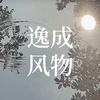 逸成风物
