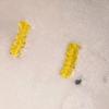点豆浆