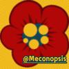 Meconopsis