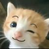 财神爷的猫me