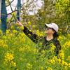 栀子花开