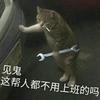 都是好车