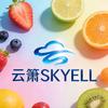 云萧官企帐号