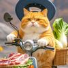 胖橘日常记录