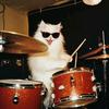 猫控先生