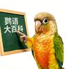 鹦语大百科